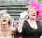 East Anglia Race Nights Vidoe Race Nights Across East Anglia