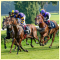 East Anglia Race Nights Video Horse Racing